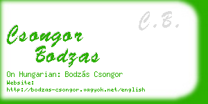 csongor bodzas business card