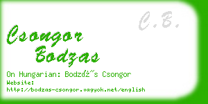 csongor bodzas business card